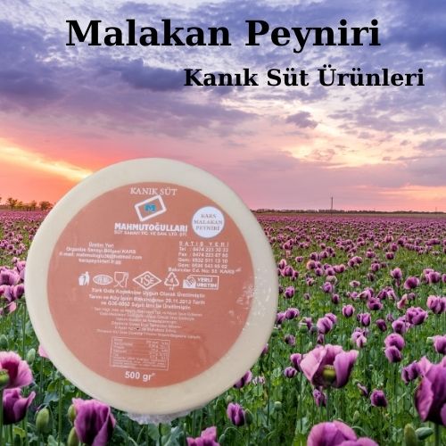 Malakan Peyniri