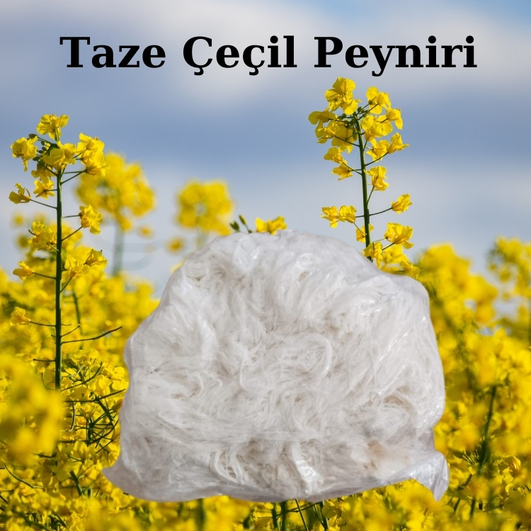 Taze Çeçil Peyniri