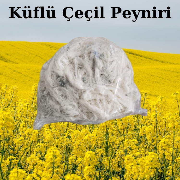 Küflü Çeçil Peyniri