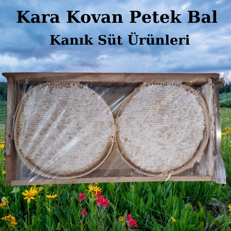 Petek Bal