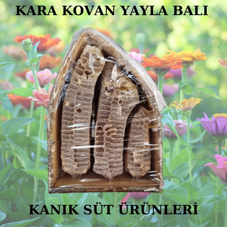 Kara Kovan Bal