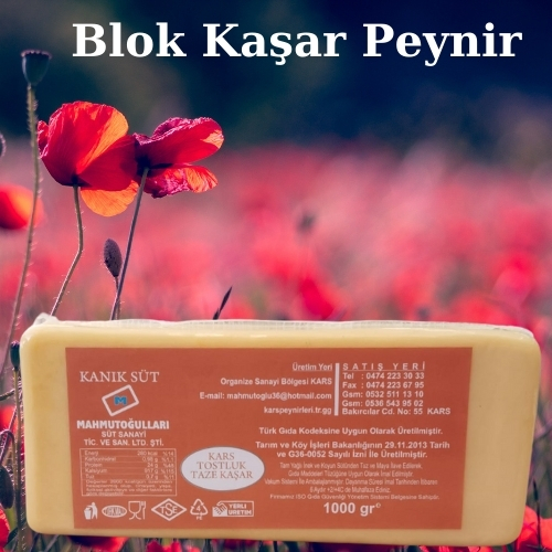 Kaşar Peyniri